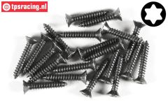 FG6912/25 Torx parker verz. kop Ø4,2-L25 mm, 20 St.