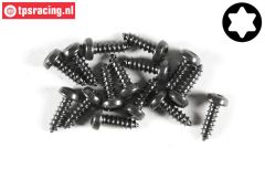 FG6914/09 Torx bolkop parker Ø2,9-L9 mm, 15 St.