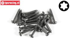 FG6914/13 Torx bolkop parker Ø2,9-L13 mm, 15 St.