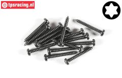 FG6914/19 Torx bolkop parker Ø2,9-L19 mm, 15 St.