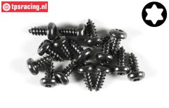FG6916/09 Torx bolkop parker Ø4,2-L9 mm, 15 St.