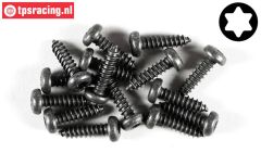 FG6916/13 Torx bolkop parker Ø4,2-L13 mm, 15 St.