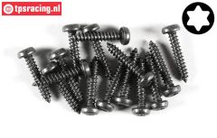 FG6916/22 Torx bolkop parker Ø4,2-L22 mm, 15 St.
