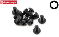 TLR255017 TLR Inbus Bolkop M5-L10 mm, 10 st.