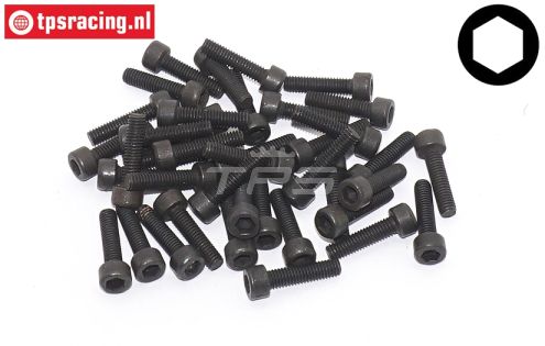 TPSZ340/40Z Inbus normale kop M3-L16 mm, 40 St.