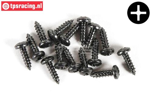 FG6714/09 Kruis bolkop parker Ø2,9-L9,5 mm, 15 St.
