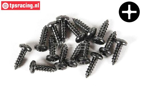 FG6714/13 Kruis bolkop parker Ø2,9-L13 mm, 15 St.