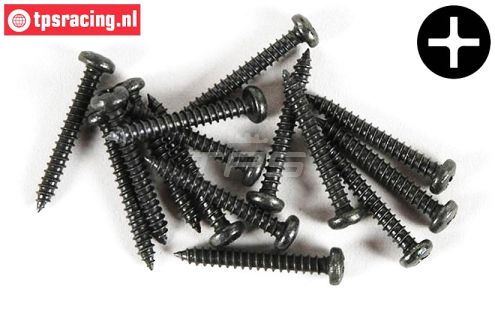 FG6714/19 Kruis bolkop parker Ø2,9-L19 mm, 15 St.