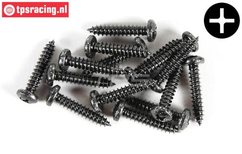 FG6716/25 Kruis bolkop parker Ø4,2-L25 mm, 15 St.
