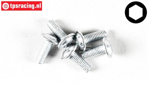 FG6717/08 Inbus bolkop flens M3-L8 mm, 5 St.