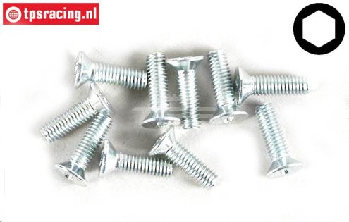 FG6719/10 Inbus verzonken kop M3-L10 mm, 10 St.
