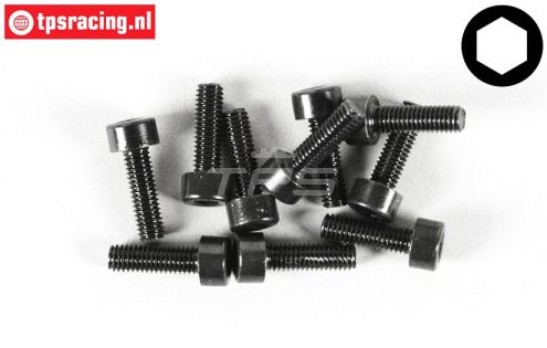 FG6724/13 Inbus normale kop M3-L13 mm, 10 St.