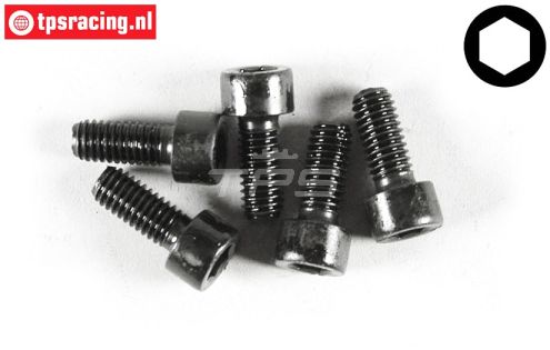 FG6727/14 Inbus normale kop M6-L14 mm, 5 St.