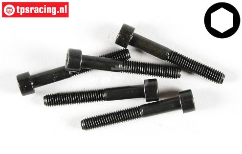 FG6727/45 Inbus normale kop M6-L45 mm, 5 St.