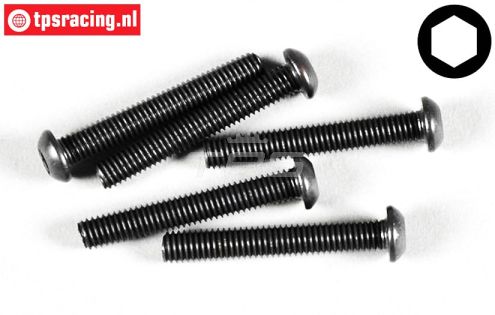FG6736/40 Inbus bolkop M6-L40 mm, 10 St.