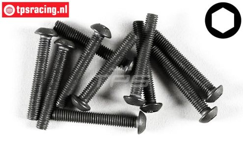 FG6737/20 Inbus bolkop M3-L20 mm, 10 St.