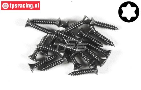FG6910/16 Torx parker verz. kop Ø2,9-L16 mm, 20 St.