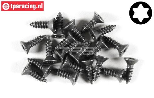 FG6912/13 Torx parker verz. kop Ø4,2-L13 mm, 20 St.