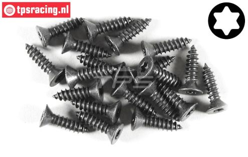 FG6912/16 Torx parker verz. kop Ø4,2-L16 mm, 20 St.