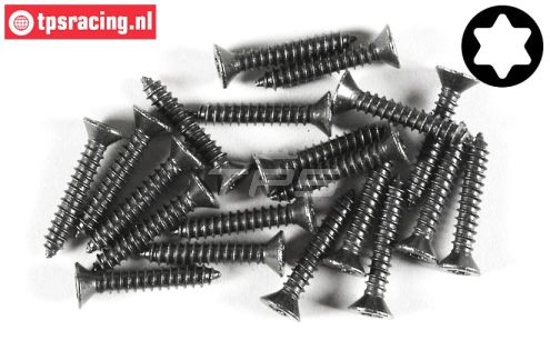 FG6912/25 Torx parker verz. kop Ø4,2-L25 mm, 20 St.