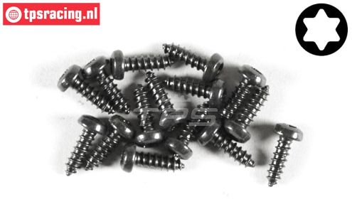 FG6914/09 Torx bolkop parker Ø2,9-L9 mm, 15 St.