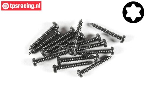 FG6914/19 Torx bolkop parker Ø2,9-L19 mm, 15 St.