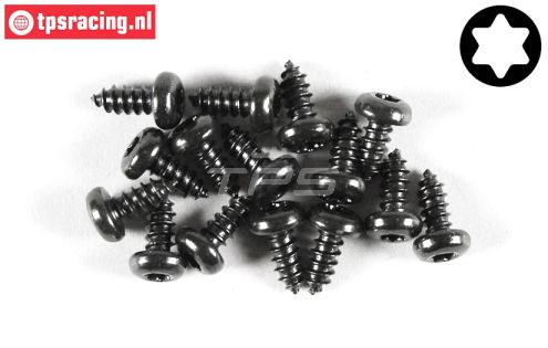 FG6916/09 Torx bolkop parker Ø4,2-L9 mm, 15 St.