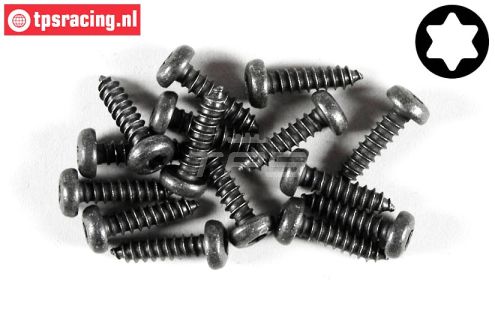 FG6916/13 Torx bolkop parker Ø4,2-L13 mm, 15 St.