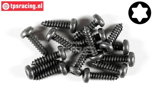 FG6916/16 Torx bolkop parker Ø4,2-L16 mm, 15 St.
