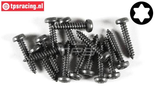 FG6916/22 Torx bolkop parker Ø4,2-L22 mm, 15 St.