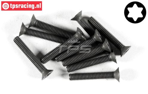 FG6920/25 Torx verzonken kop M4-L25 mm, 10 St.