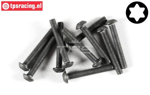 FG6924/25 Torx bolkop M3-L25 mm, 10 St.