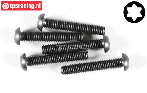FG6927/35 Torx bolkop M6-L35 mm, 5 St.