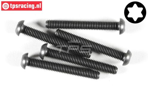 FG6927/45 Torx bolkop M6-L45 mm, 5 St.