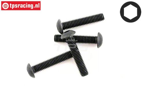HPIZ216 Inbus bolkop M3-L10 mm, 4 St.