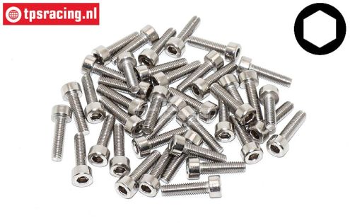 TPSZ340/12 RVS Inbus normale kop M3-L12 mm, 40 St.